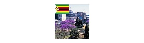 Αποστολη λουλουδιων Ζιμπαμπουε
