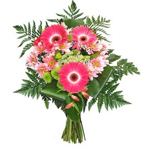 Pink flowers gerbera & chrysanthemum ( UK 1017)