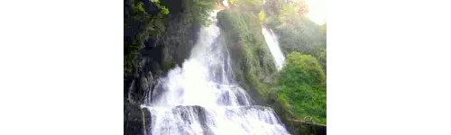 Edesa