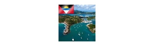 Antigua flower delivery